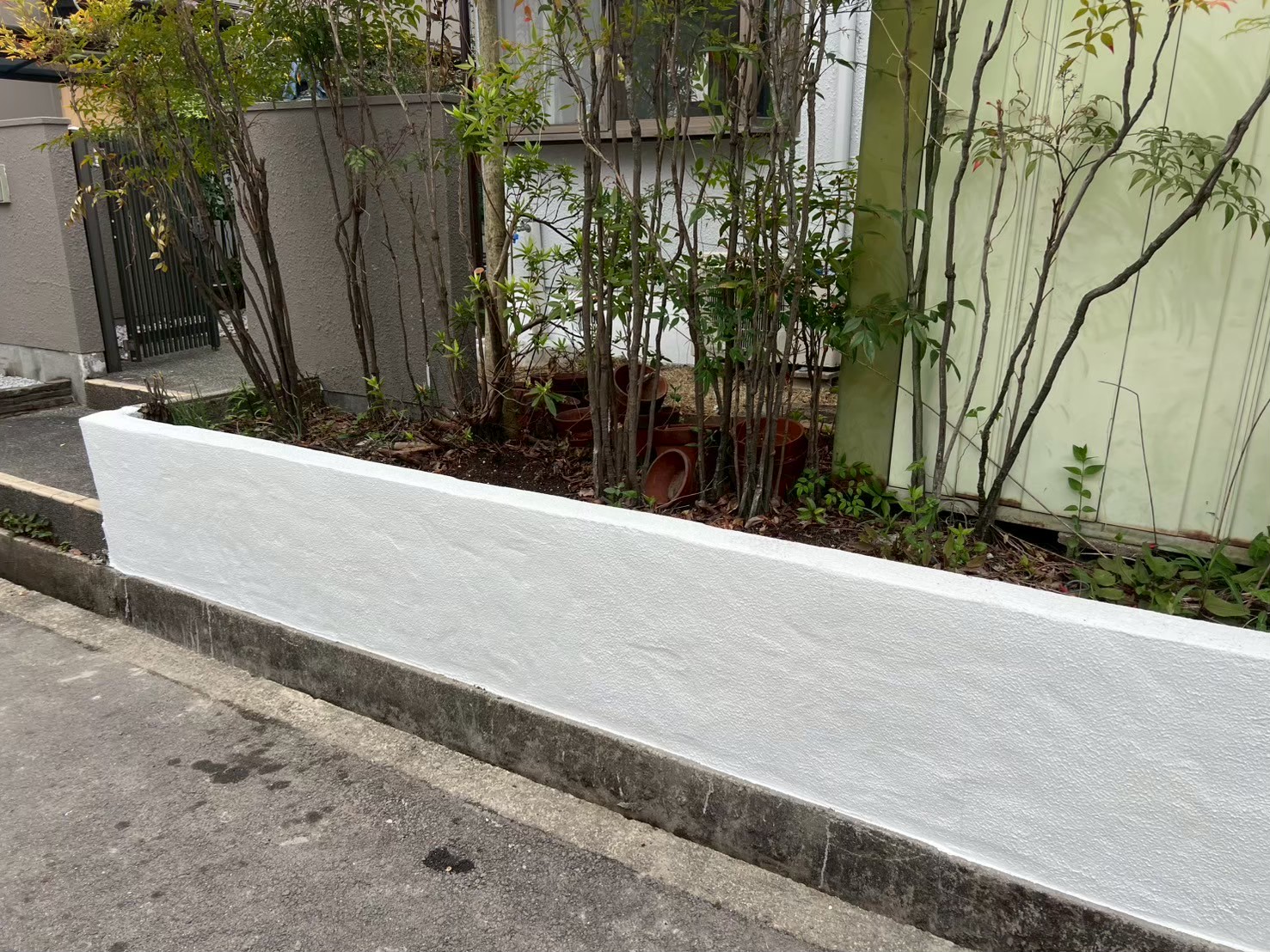 おすすめ車両