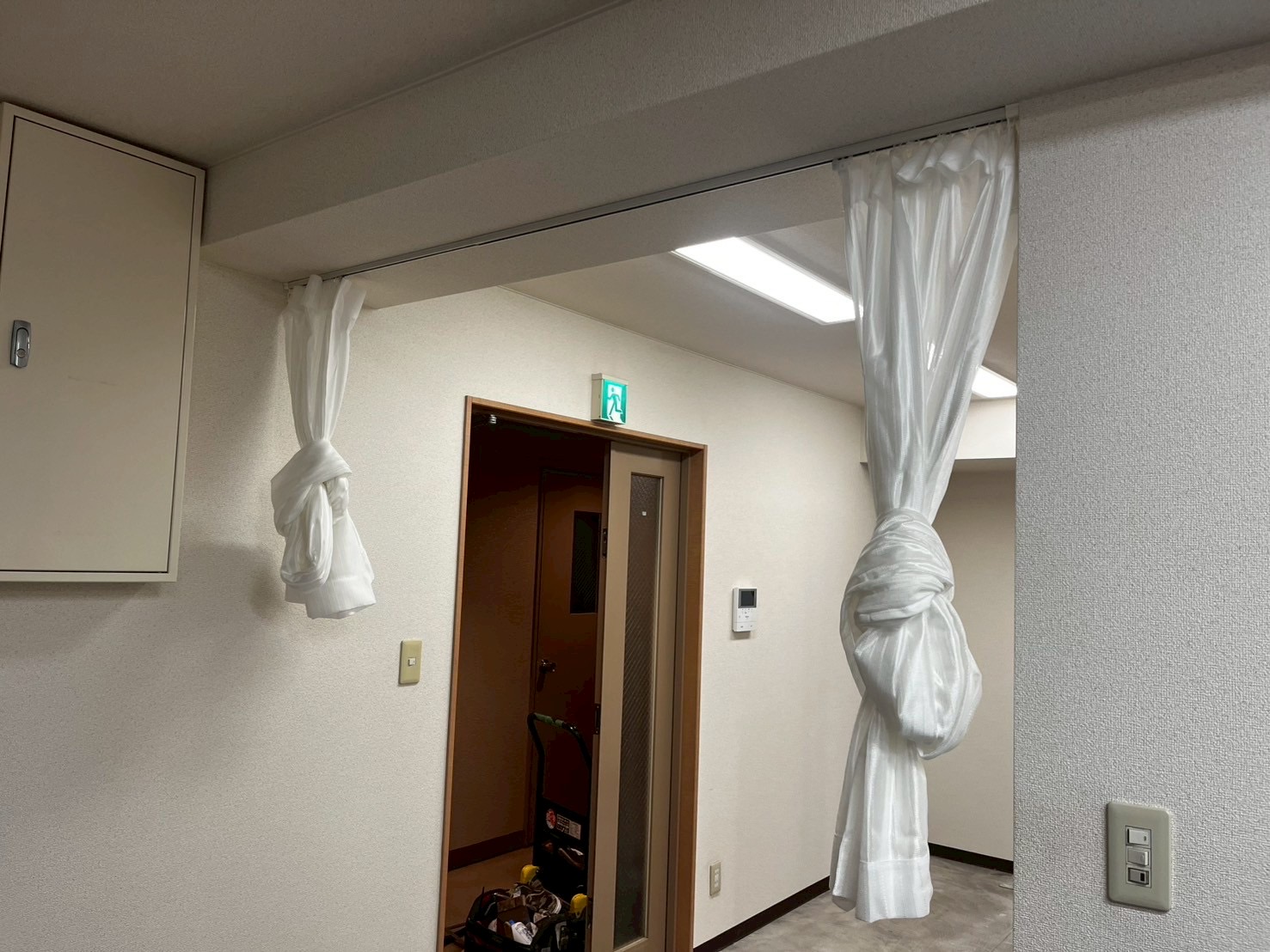 おすすめ車両